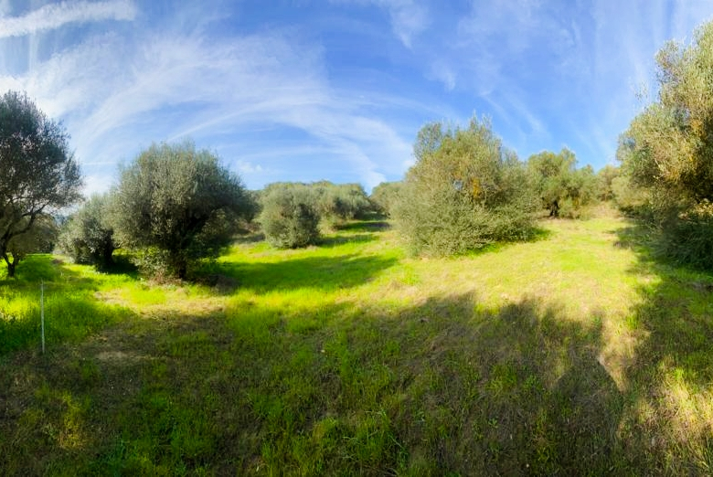 Πωλείται αγροτεμάχιο στα Λουσικά